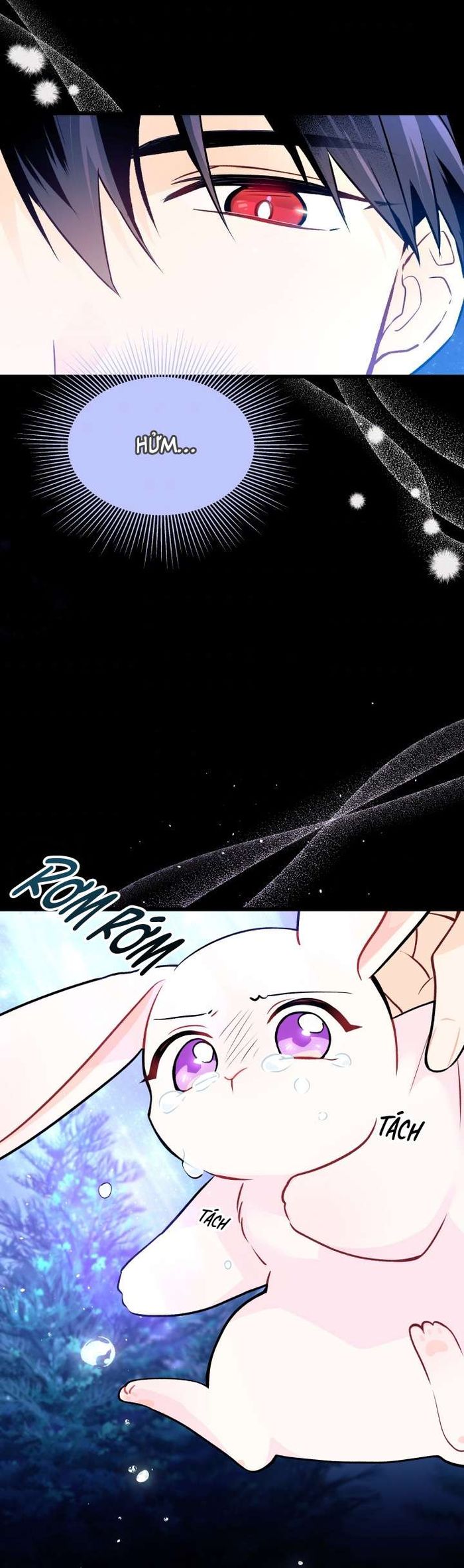 Mối Quan Hệ Cộng Sinh Giữa Báo Đen Và Thỏ Trắng - Chap 29 Ảnh 20
