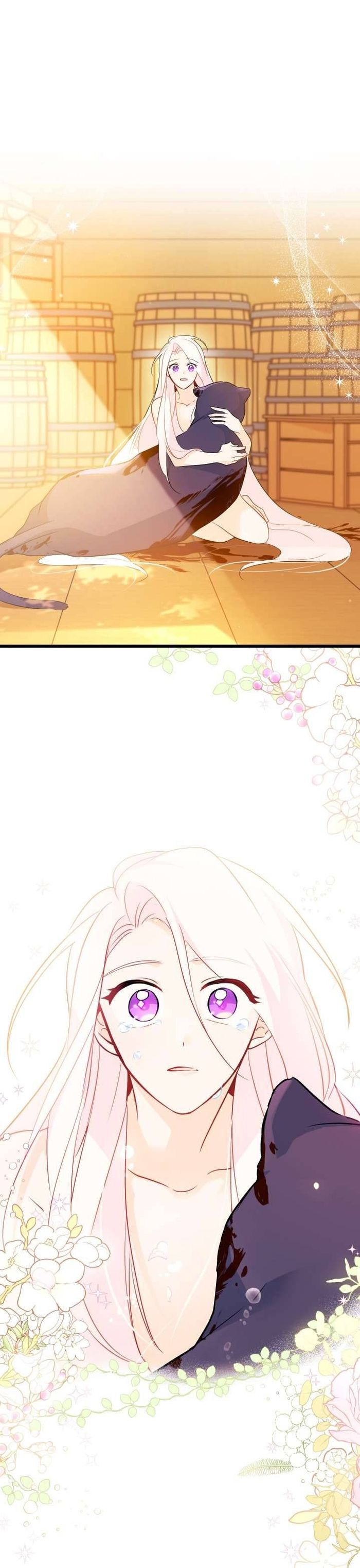 Mối Quan Hệ Cộng Sinh Giữa Báo Đen Và Thỏ Trắng - Chap 29 Ảnh 41
