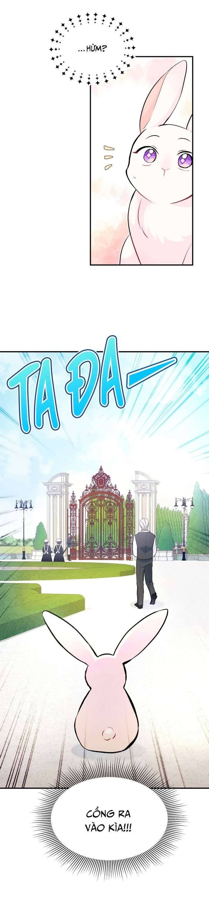 Mối Quan Hệ Cộng Sinh Giữa Báo Đen Và Thỏ Trắng - Chap 3 Ảnh 27