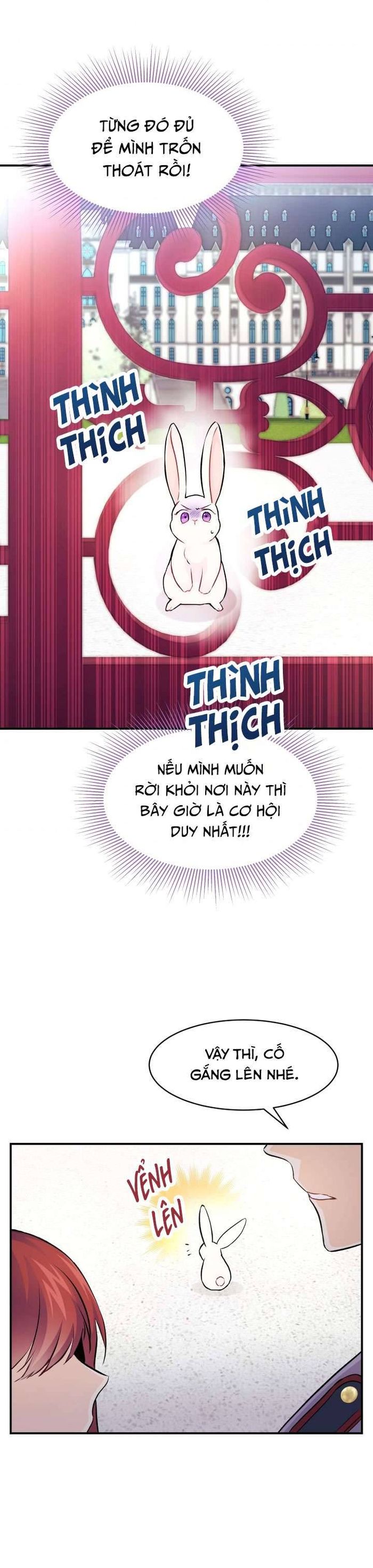 Mối Quan Hệ Cộng Sinh Giữa Báo Đen Và Thỏ Trắng - Chap 3 Ảnh 29