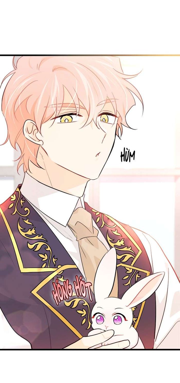 Mối Quan Hệ Cộng Sinh Giữa Báo Đen Và Thỏ Trắng - Chap 32 Ảnh 51