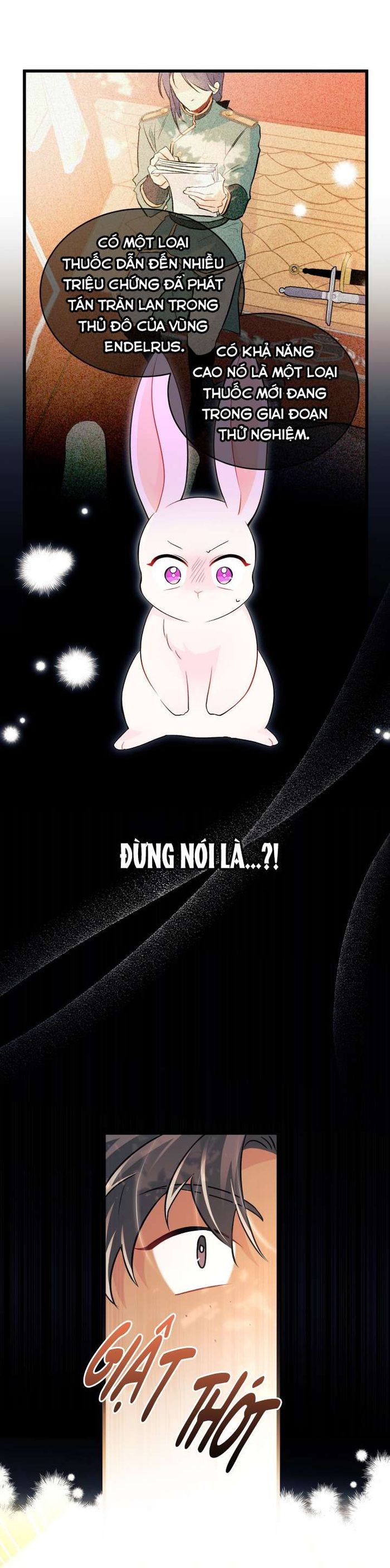 Mối Quan Hệ Cộng Sinh Giữa Báo Đen Và Thỏ Trắng - Chap 32 Ảnh 54