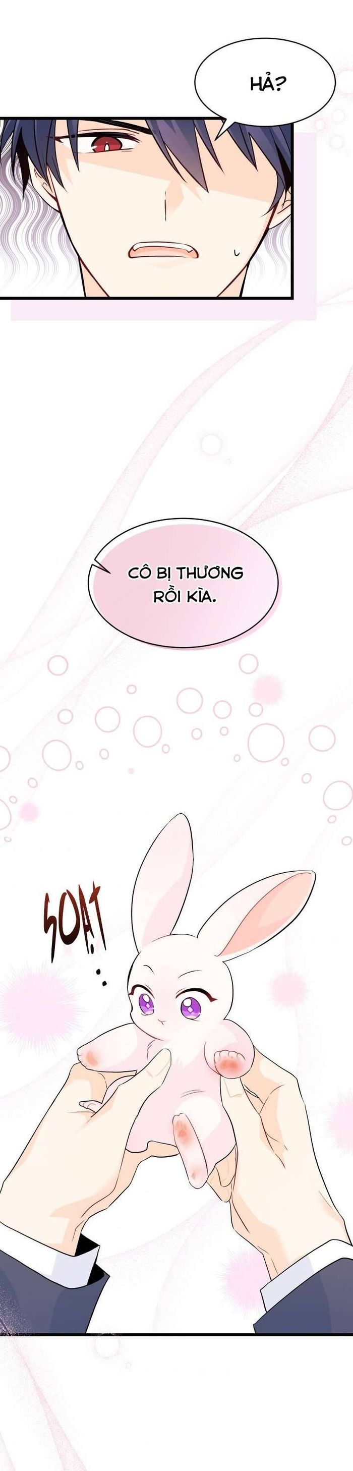 Mối Quan Hệ Cộng Sinh Giữa Báo Đen Và Thỏ Trắng - Chap 34 Ảnh 37