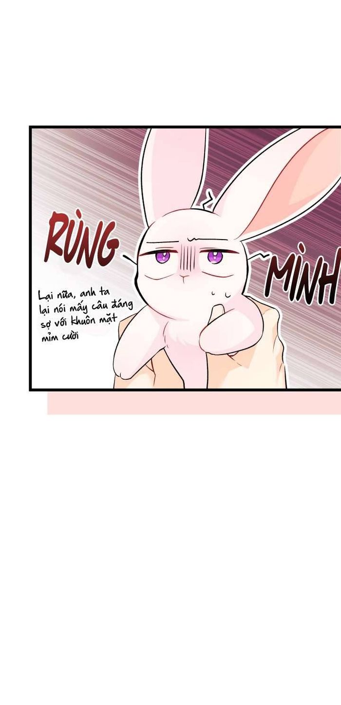 Mối Quan Hệ Cộng Sinh Giữa Báo Đen Và Thỏ Trắng - Chap 34 Ảnh 41