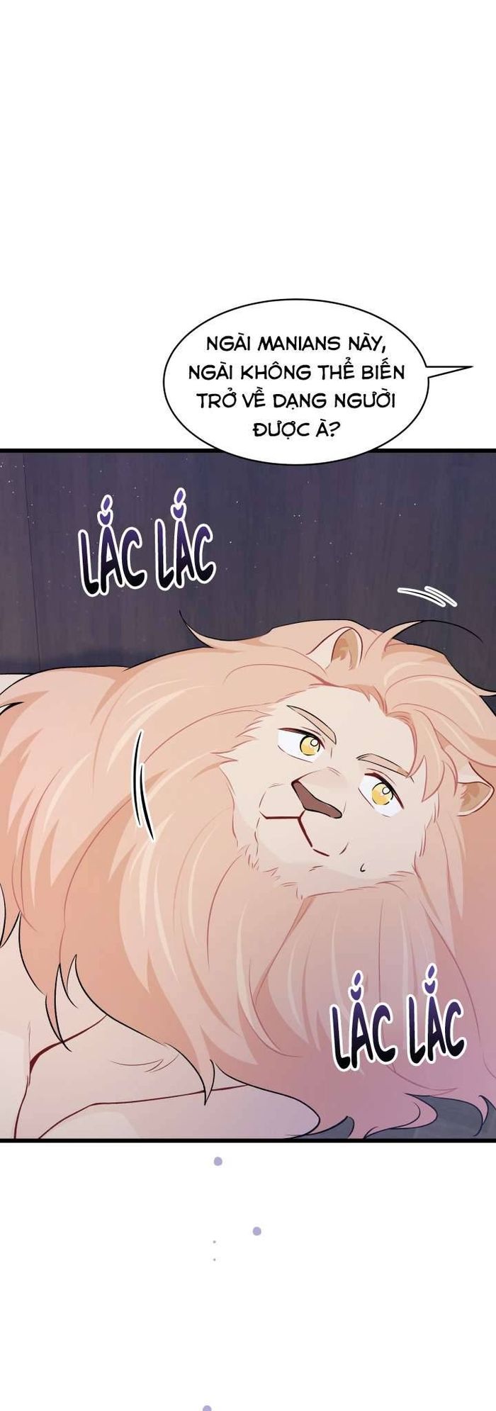 Mối Quan Hệ Cộng Sinh Giữa Báo Đen Và Thỏ Trắng - Chap 35 Ảnh 13