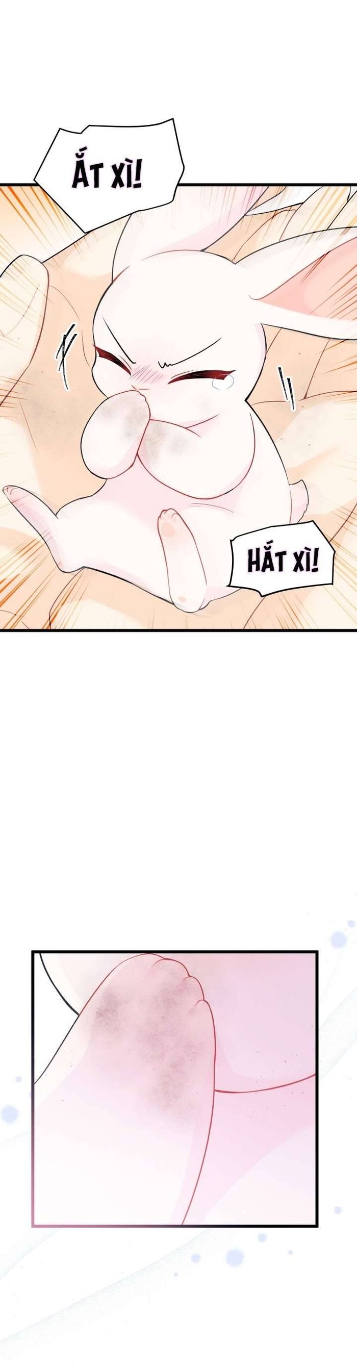 Mối Quan Hệ Cộng Sinh Giữa Báo Đen Và Thỏ Trắng - Chap 35 Ảnh 25