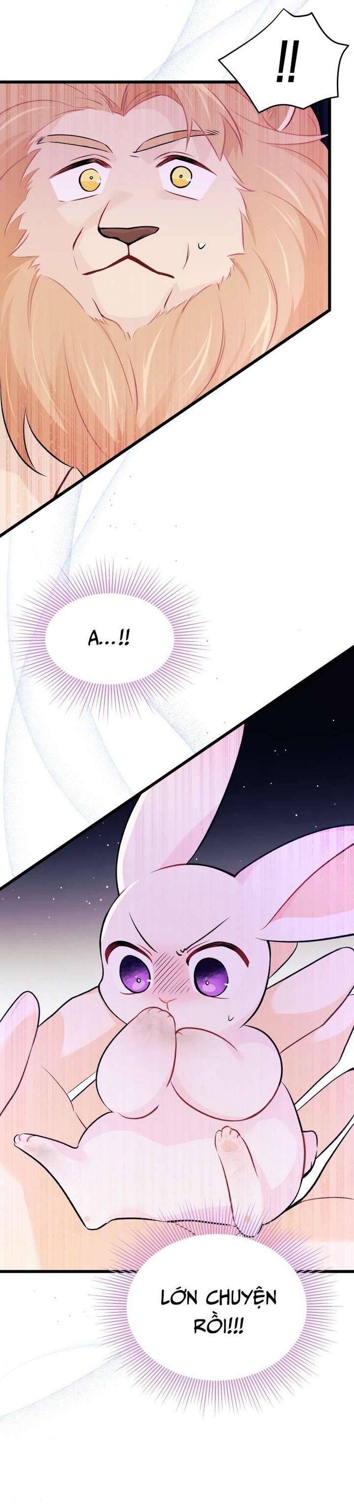 Mối Quan Hệ Cộng Sinh Giữa Báo Đen Và Thỏ Trắng - Chap 35 Ảnh 27