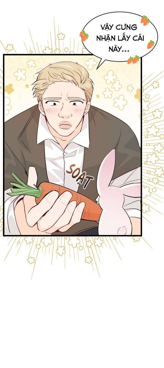 Mối Quan Hệ Cộng Sinh Giữa Báo Đen Và Thỏ Trắng - Chap 35 Ảnh 4