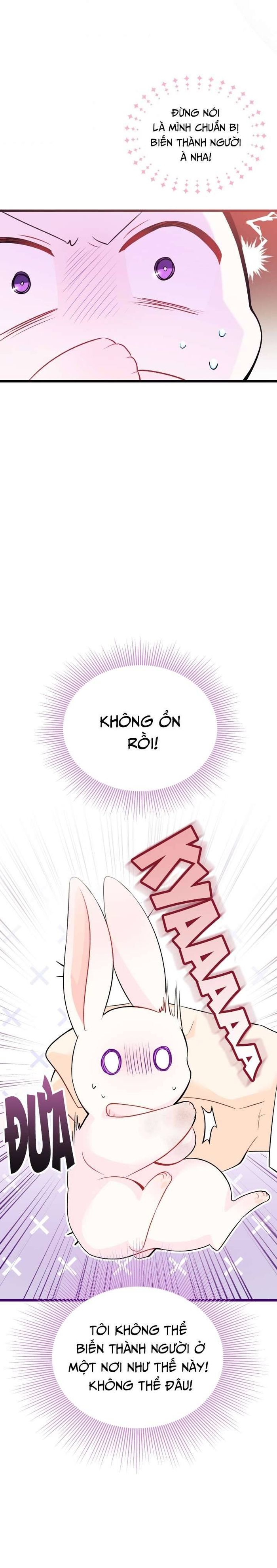 Mối Quan Hệ Cộng Sinh Giữa Báo Đen Và Thỏ Trắng - Chap 35 Ảnh 32