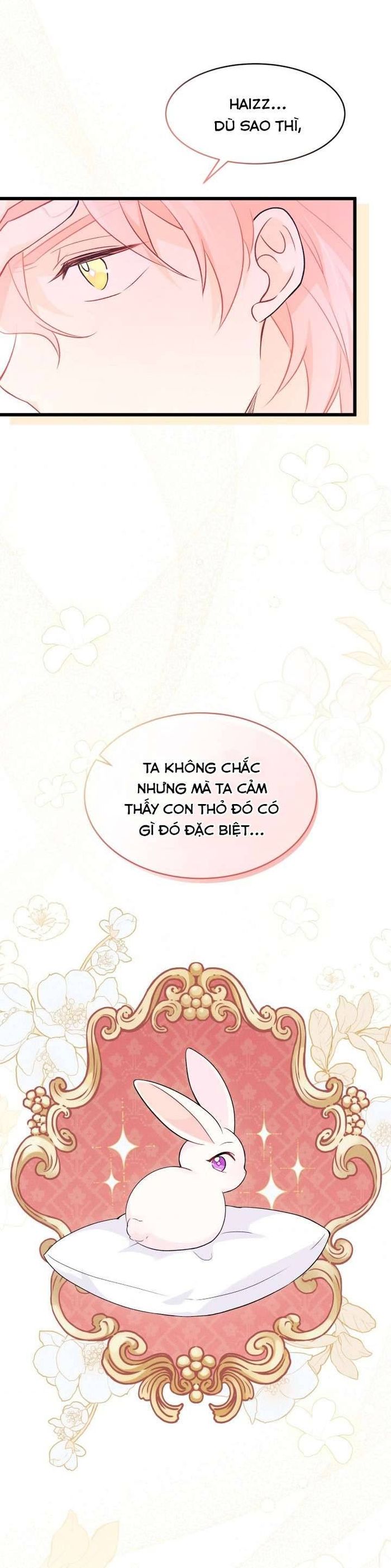 Mối Quan Hệ Cộng Sinh Giữa Báo Đen Và Thỏ Trắng - Chap 38 Ảnh 34