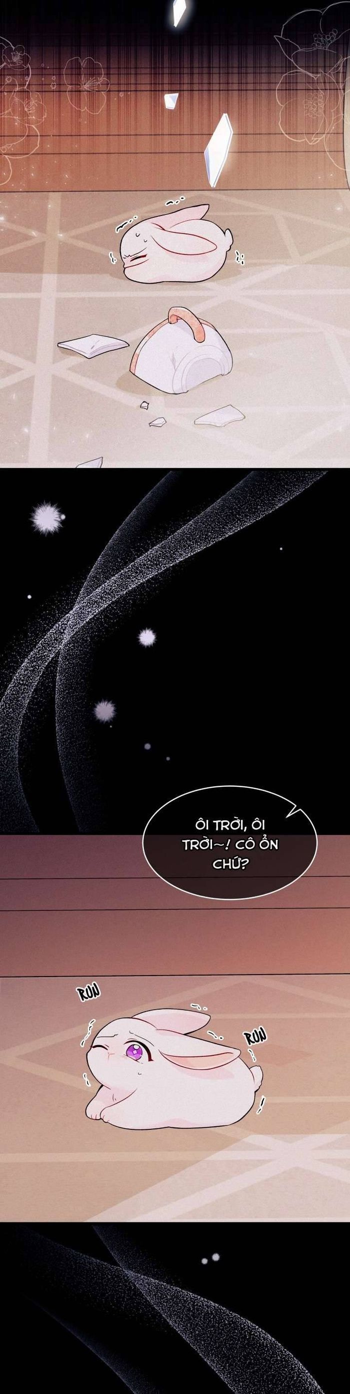 Mối Quan Hệ Cộng Sinh Giữa Báo Đen Và Thỏ Trắng - Chap 39 Ảnh 3