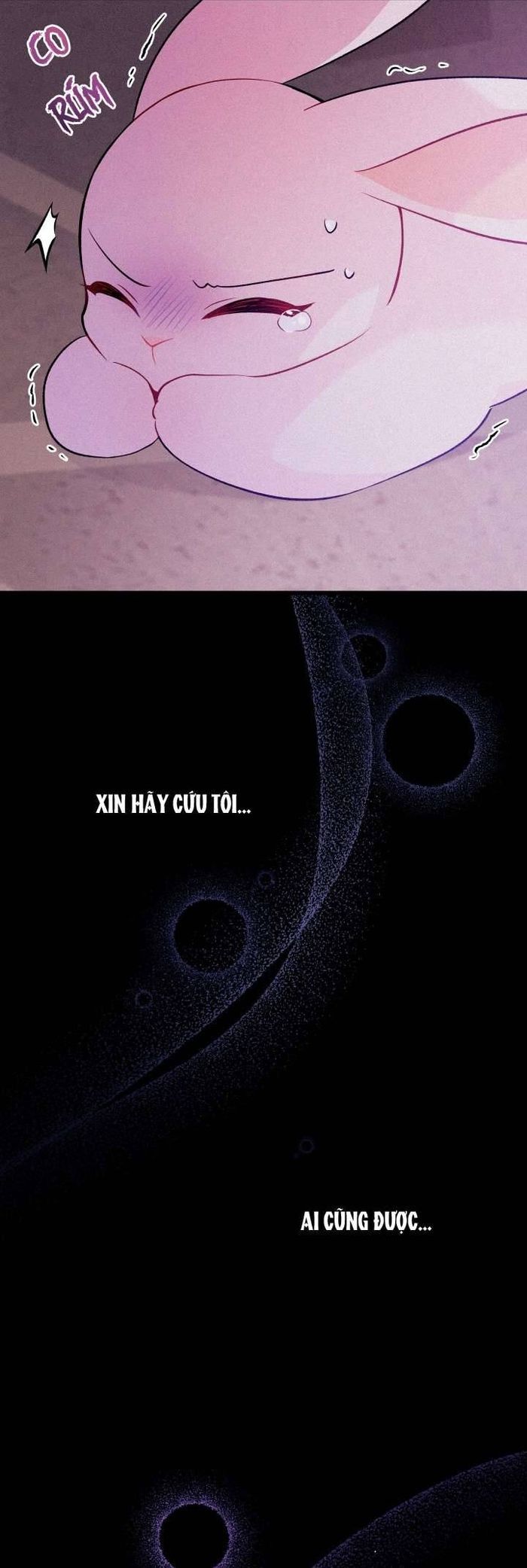 Mối Quan Hệ Cộng Sinh Giữa Báo Đen Và Thỏ Trắng - Chap 39 Ảnh 6