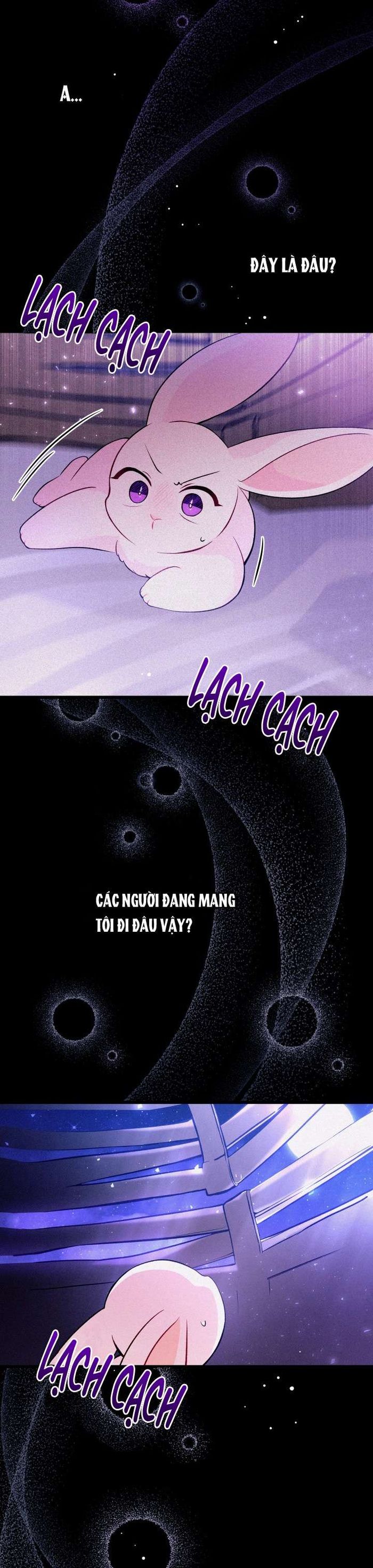 Mối Quan Hệ Cộng Sinh Giữa Báo Đen Và Thỏ Trắng - Chap 39 Ảnh 7