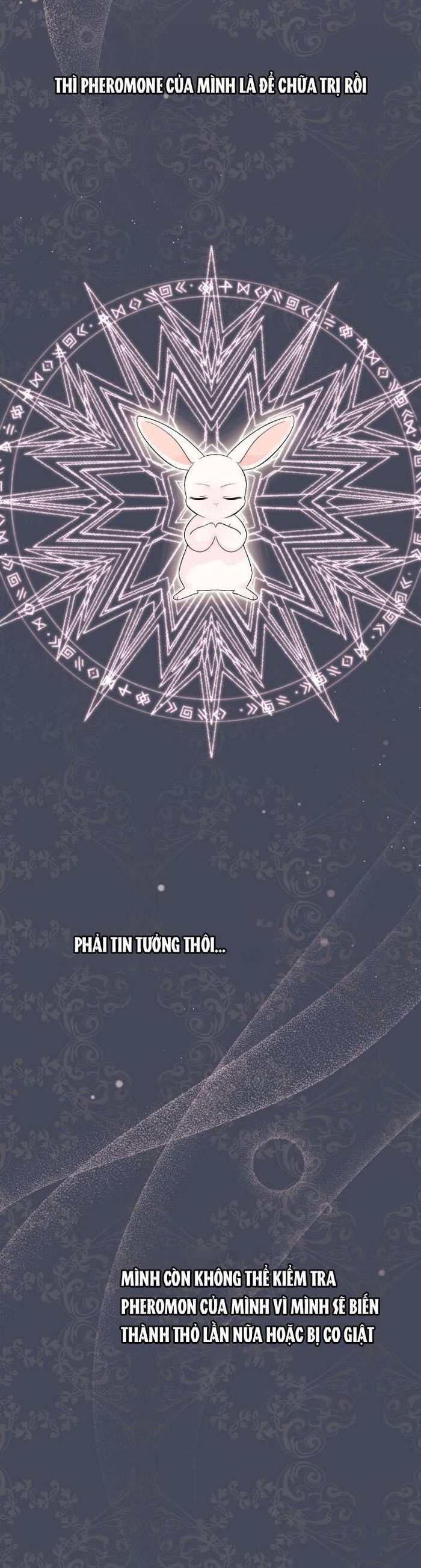 Mối Quan Hệ Cộng Sinh Giữa Báo Đen Và Thỏ Trắng - Chap 41 Ảnh 25