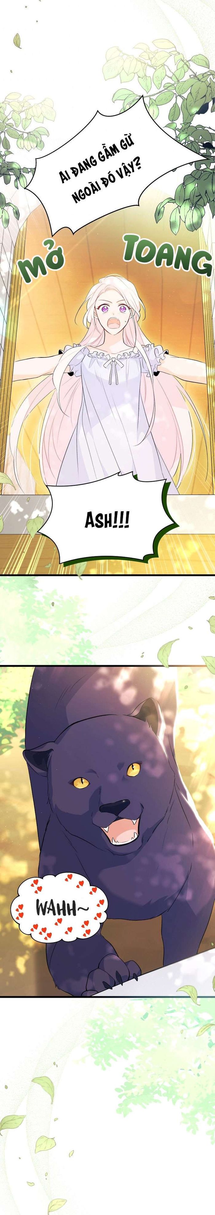 Mối Quan Hệ Cộng Sinh Giữa Báo Đen Và Thỏ Trắng - Chap 41 Ảnh 28