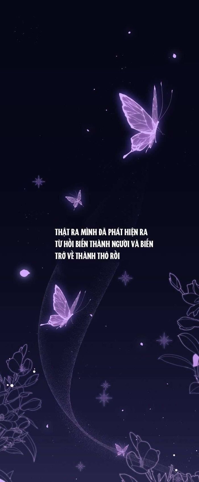 Mối Quan Hệ Cộng Sinh Giữa Báo Đen Và Thỏ Trắng - Chap 44 Ảnh 1