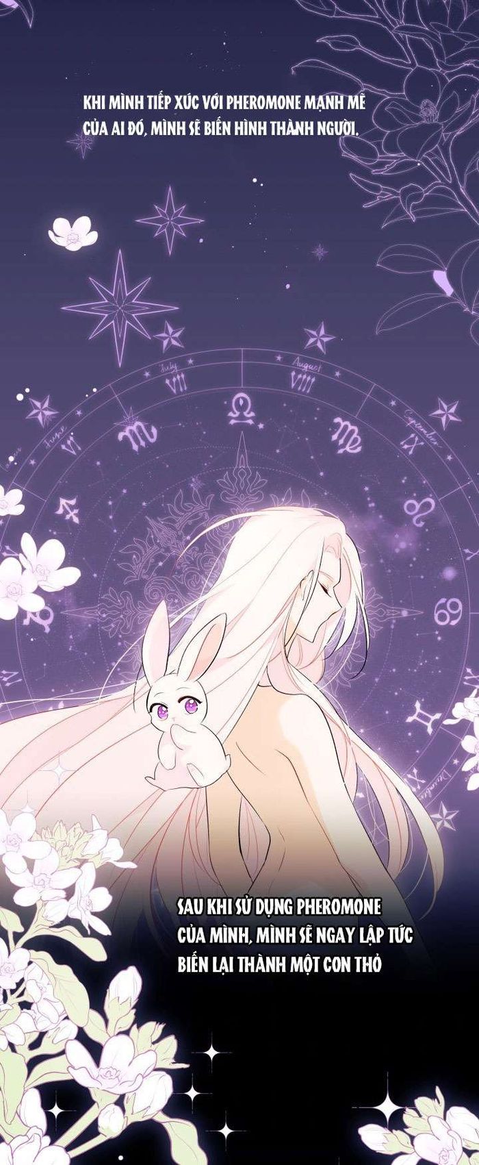 Mối Quan Hệ Cộng Sinh Giữa Báo Đen Và Thỏ Trắng - Chap 44 Ảnh 2