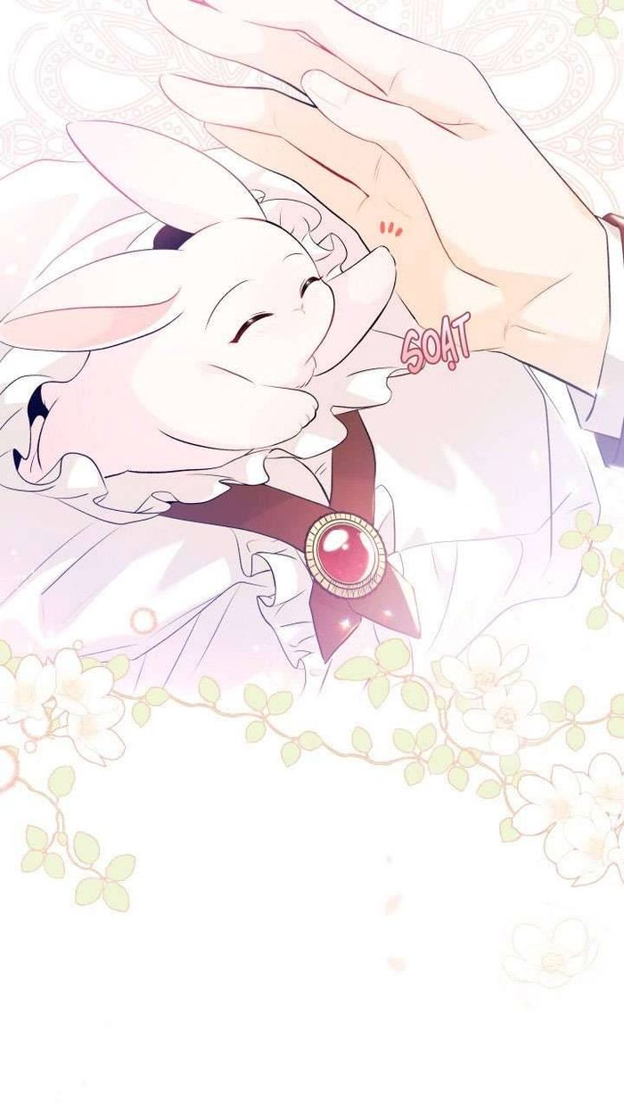Mối Quan Hệ Cộng Sinh Giữa Báo Đen Và Thỏ Trắng - Chap 44 Ảnh 54