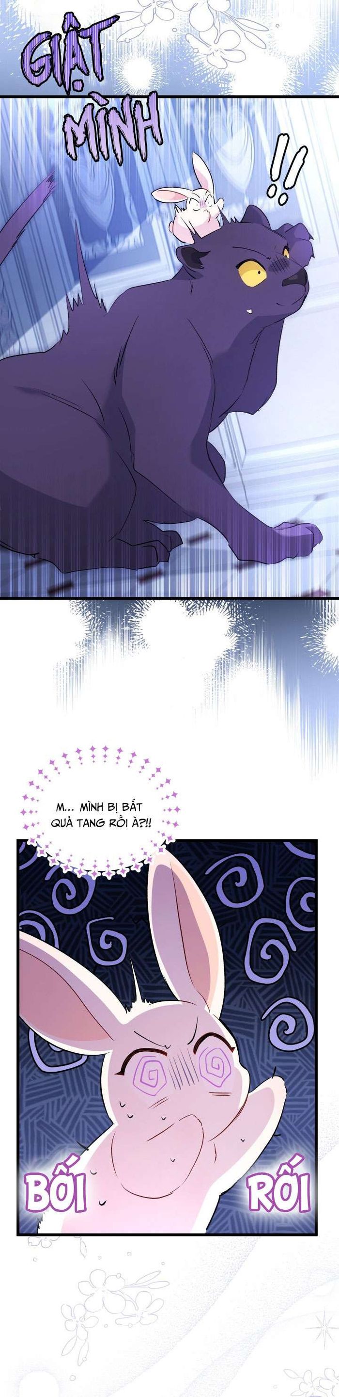 Mối Quan Hệ Cộng Sinh Giữa Báo Đen Và Thỏ Trắng - Chap 45 Ảnh 36