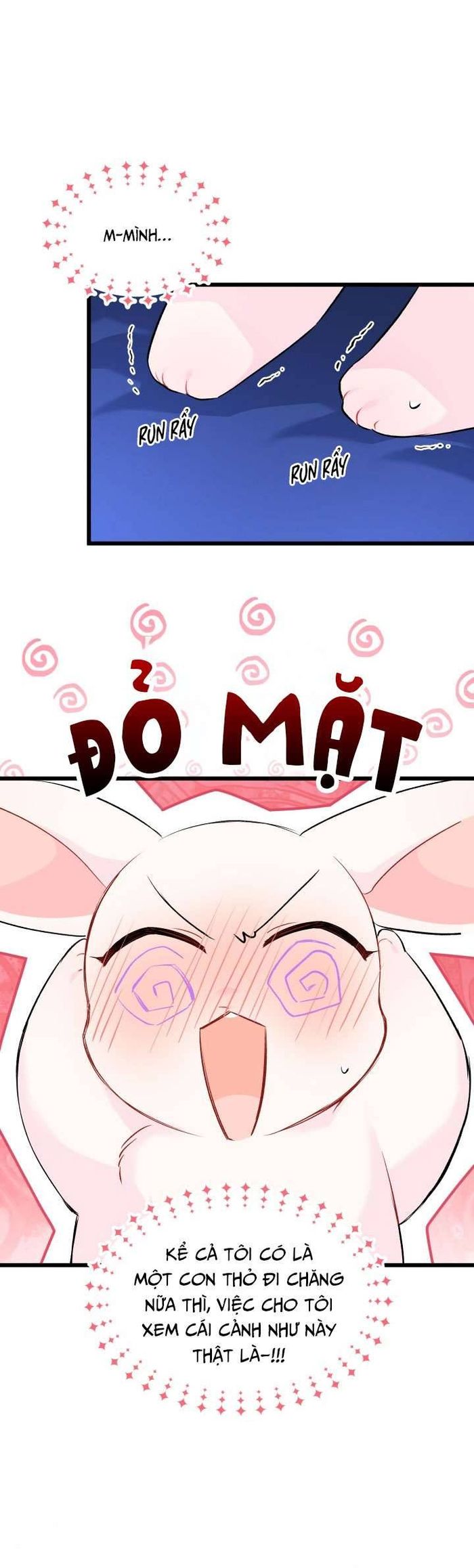 Mối Quan Hệ Cộng Sinh Giữa Báo Đen Và Thỏ Trắng - Chap 46 Ảnh 31