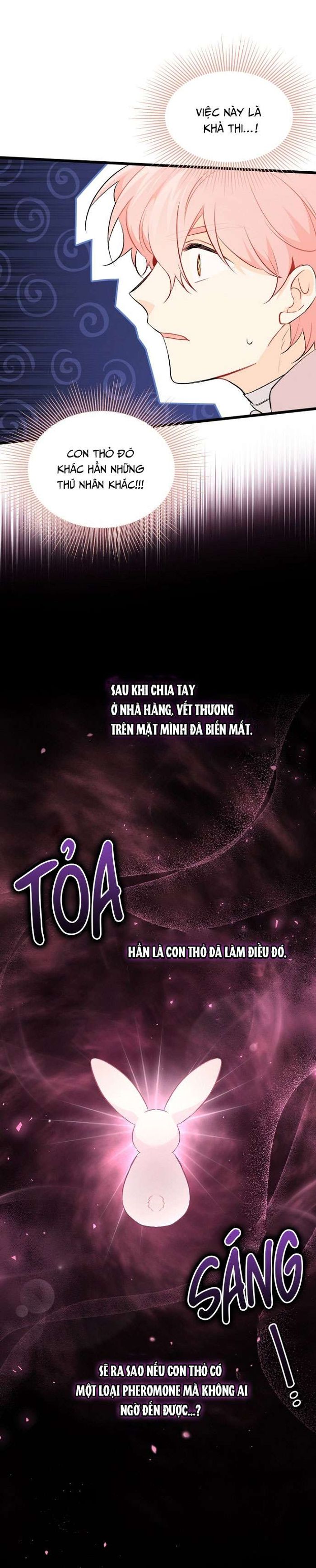 Mối Quan Hệ Cộng Sinh Giữa Báo Đen Và Thỏ Trắng - Chap 47 Ảnh 18