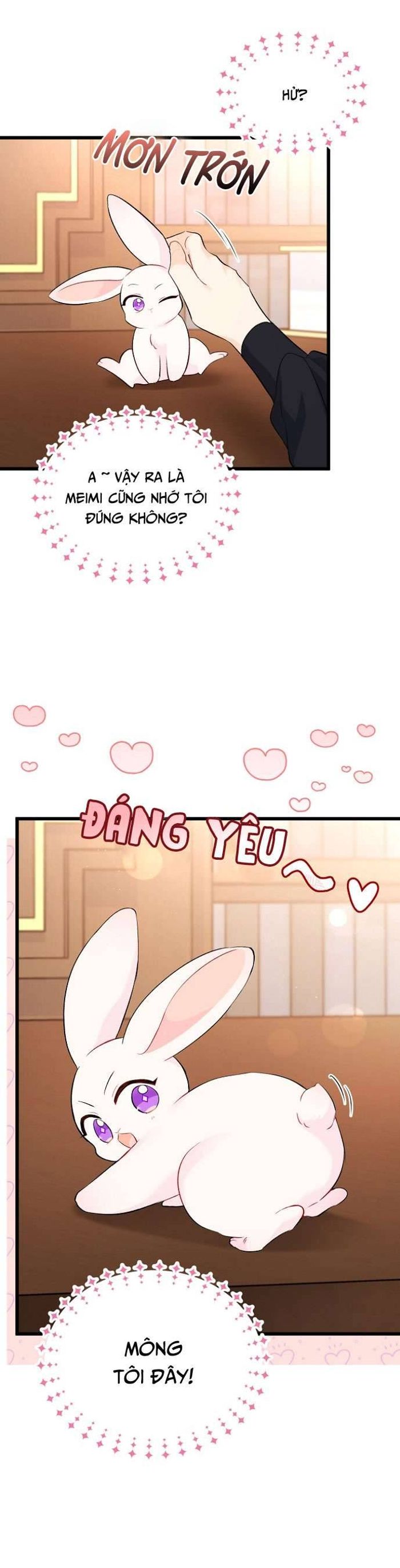 Mối Quan Hệ Cộng Sinh Giữa Báo Đen Và Thỏ Trắng - Chap 47 Ảnh 30