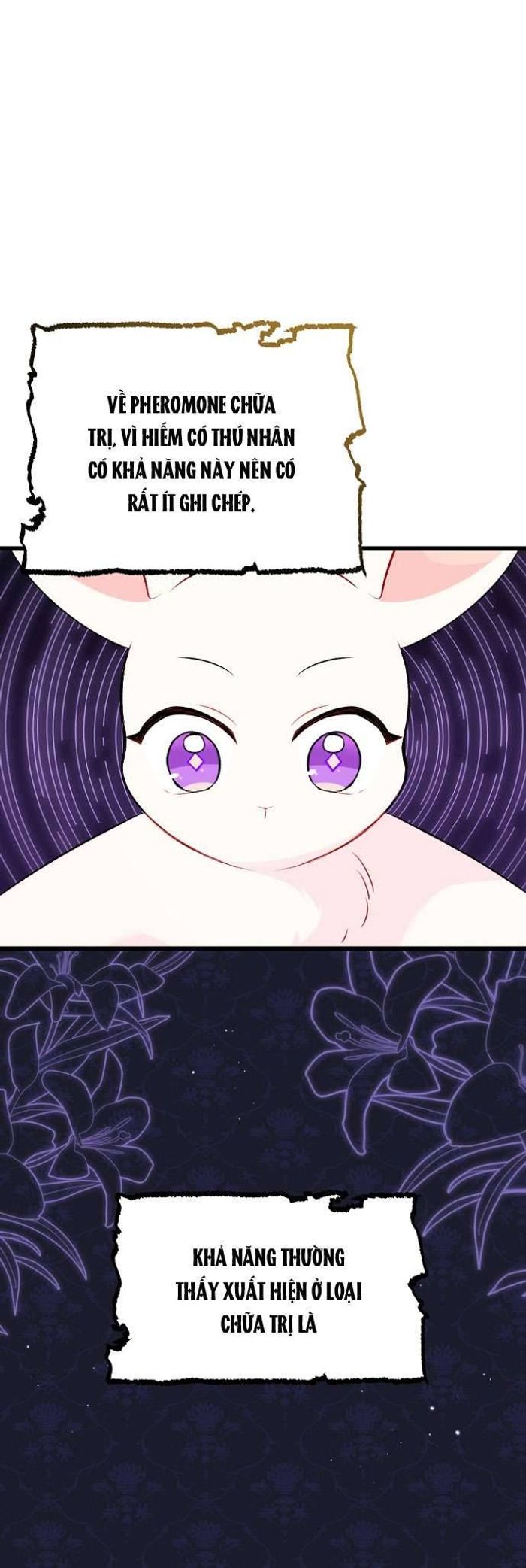 Mối Quan Hệ Cộng Sinh Giữa Báo Đen Và Thỏ Trắng - Chap 47 Ảnh 34