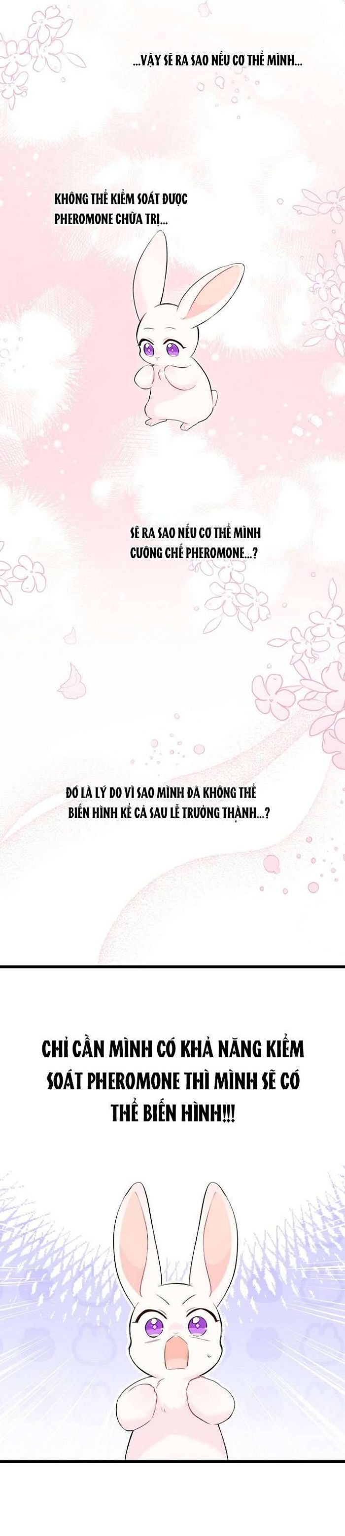 Mối Quan Hệ Cộng Sinh Giữa Báo Đen Và Thỏ Trắng - Chap 47 Ảnh 40