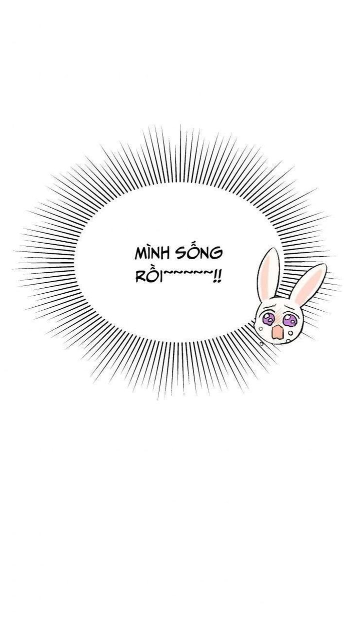 Mối Quan Hệ Cộng Sinh Giữa Báo Đen Và Thỏ Trắng - Chap 48 Ảnh 47
