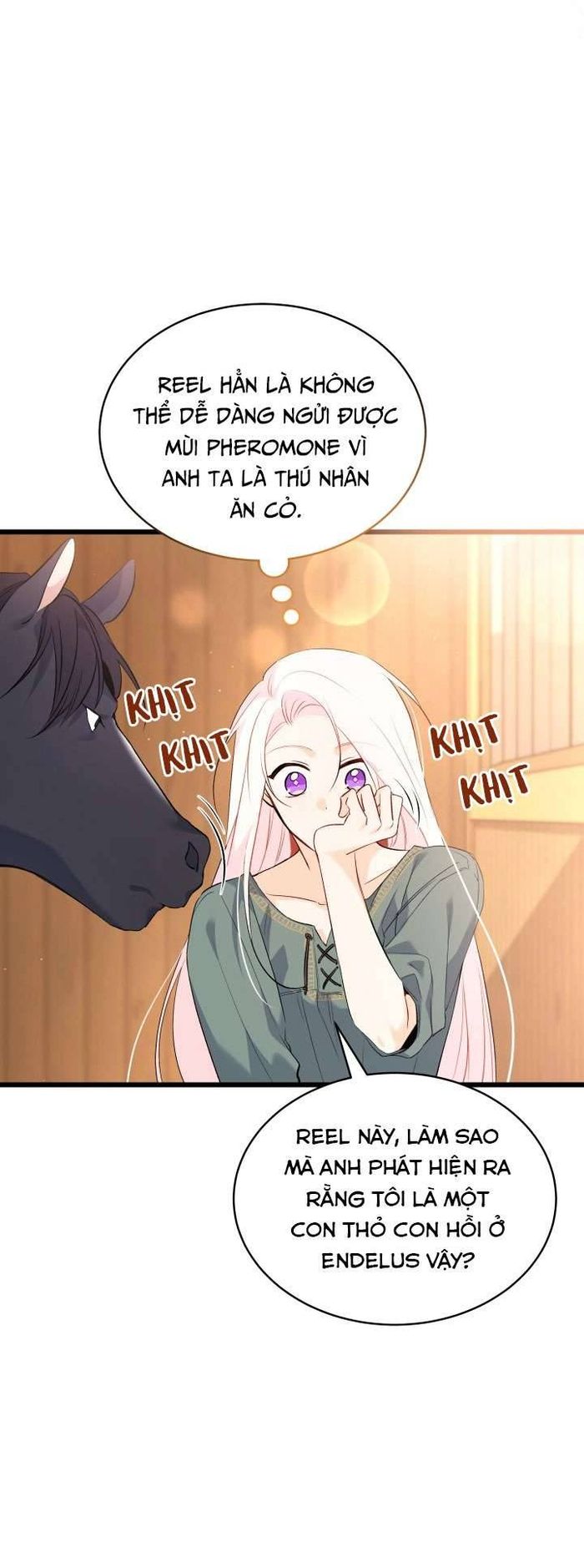 Mối Quan Hệ Cộng Sinh Giữa Báo Đen Và Thỏ Trắng - Chap 49 Ảnh 16