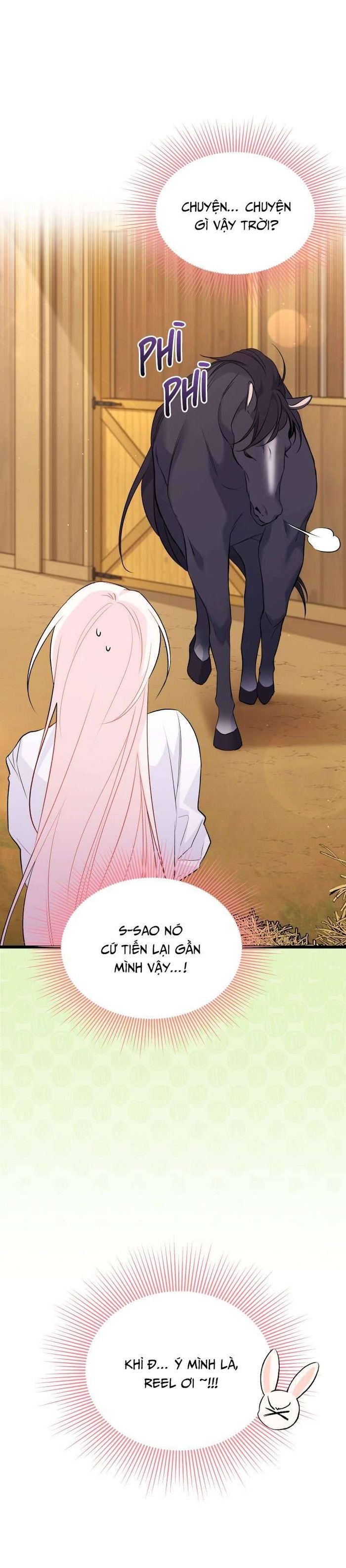 Mối Quan Hệ Cộng Sinh Giữa Báo Đen Và Thỏ Trắng - Chap 49 Ảnh 10
