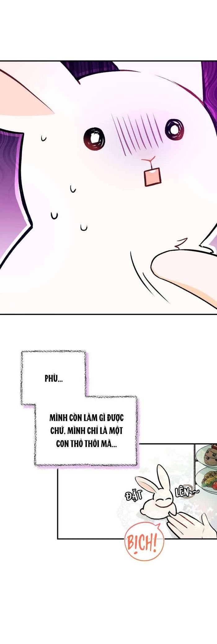 Mối Quan Hệ Cộng Sinh Giữa Báo Đen Và Thỏ Trắng - Chap 5 Ảnh 14