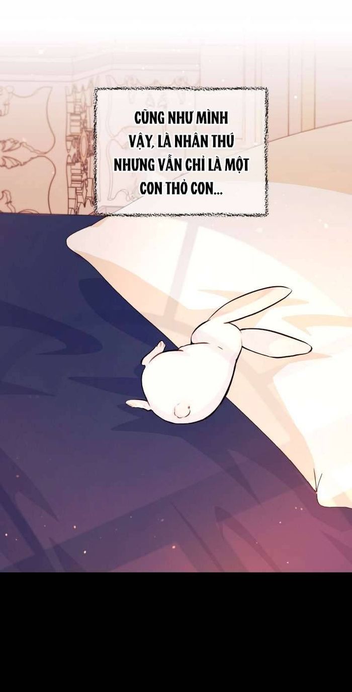 Mối Quan Hệ Cộng Sinh Giữa Báo Đen Và Thỏ Trắng - Chap 5 Ảnh 24