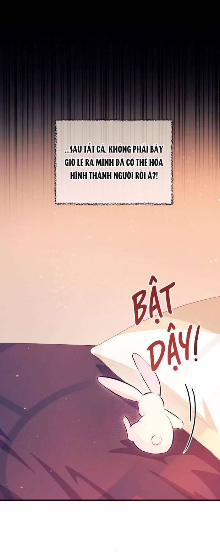 Mối Quan Hệ Cộng Sinh Giữa Báo Đen Và Thỏ Trắng - Chap 5 Ảnh 26