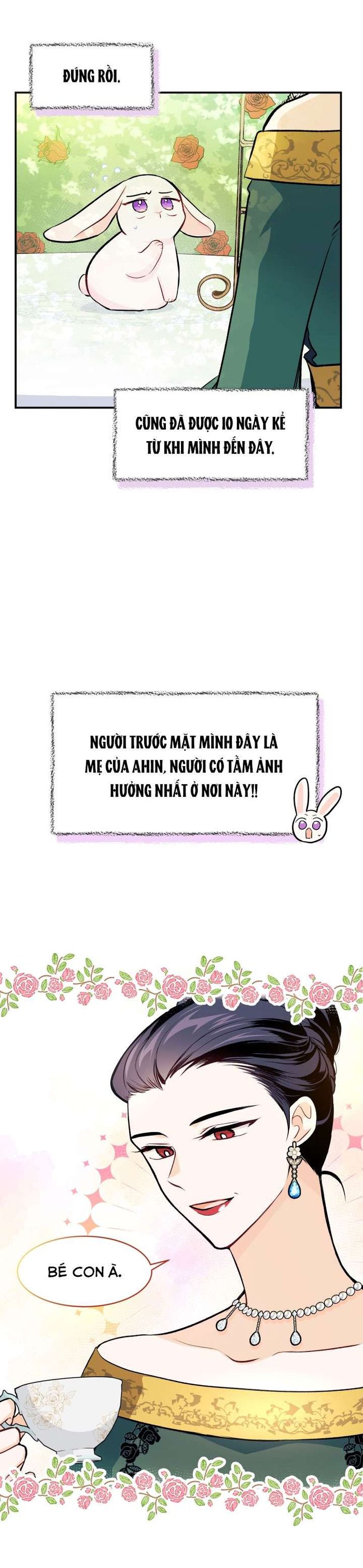 Mối Quan Hệ Cộng Sinh Giữa Báo Đen Và Thỏ Trắng - Chap 5 Ảnh 7