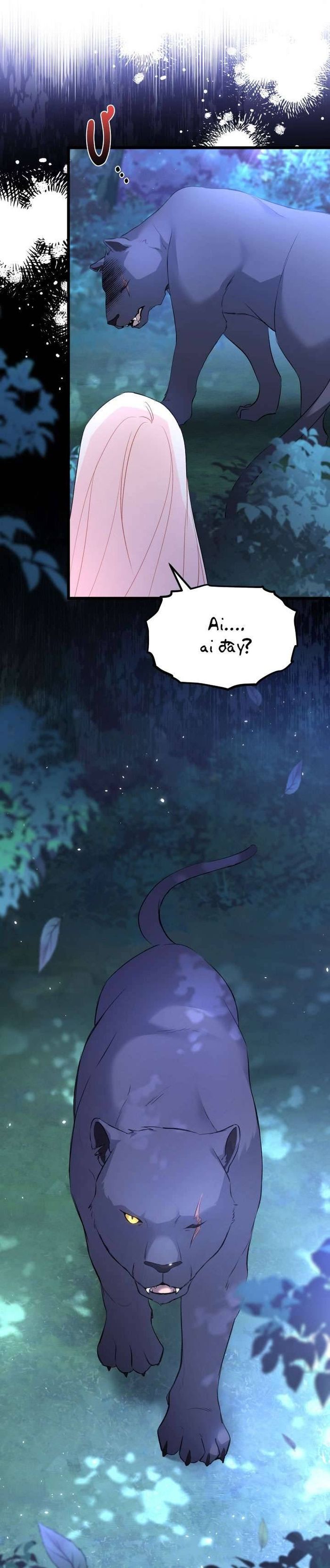 Mối Quan Hệ Cộng Sinh Giữa Báo Đen Và Thỏ Trắng - Chap 50 Ảnh 8