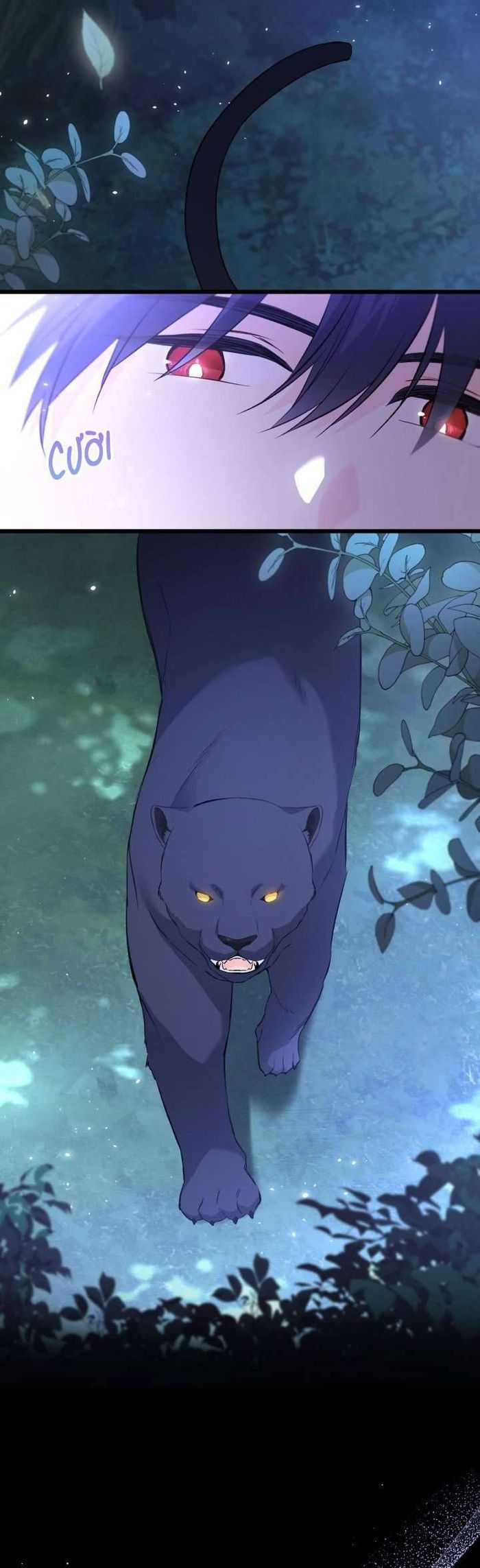 Mối Quan Hệ Cộng Sinh Giữa Báo Đen Và Thỏ Trắng - Chap 51 Ảnh 7