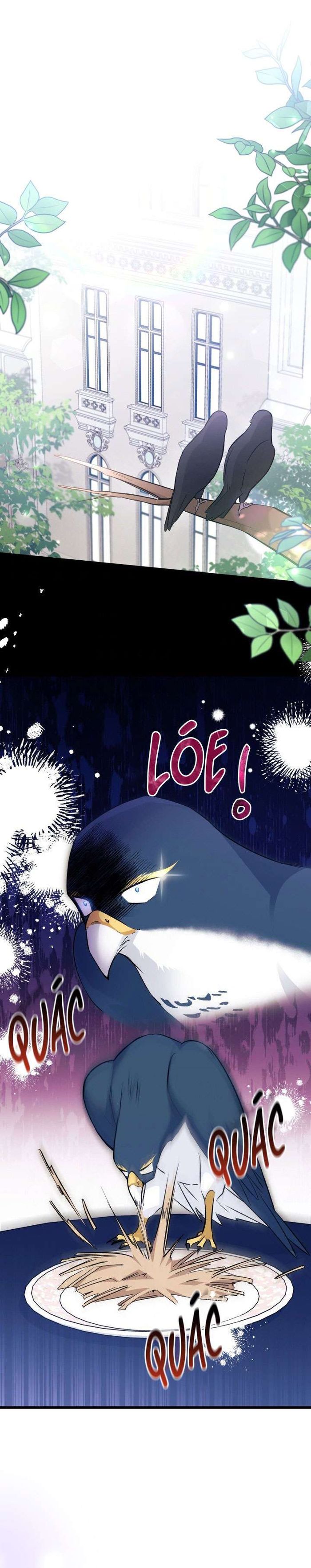 Mối Quan Hệ Cộng Sinh Giữa Báo Đen Và Thỏ Trắng - Chap 55 Ảnh 1