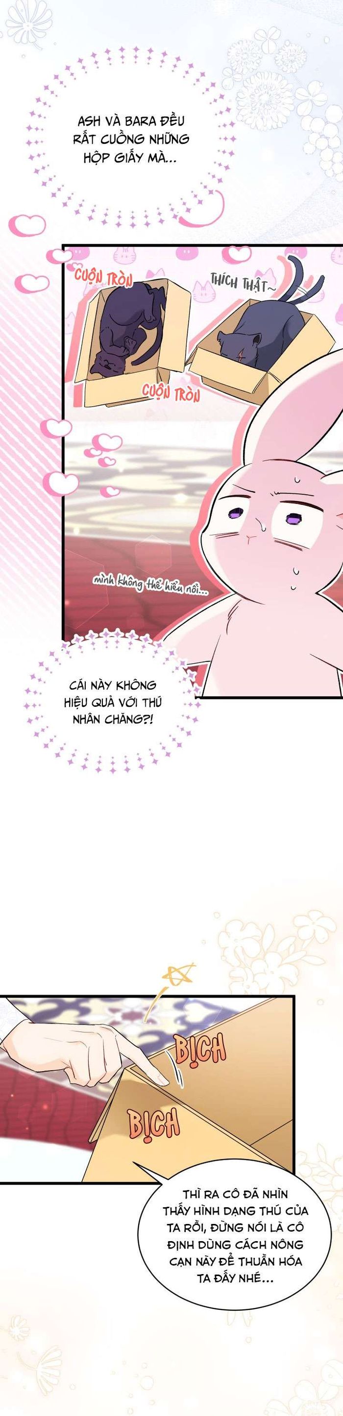 Mối Quan Hệ Cộng Sinh Giữa Báo Đen Và Thỏ Trắng - Chap 56 Ảnh 20