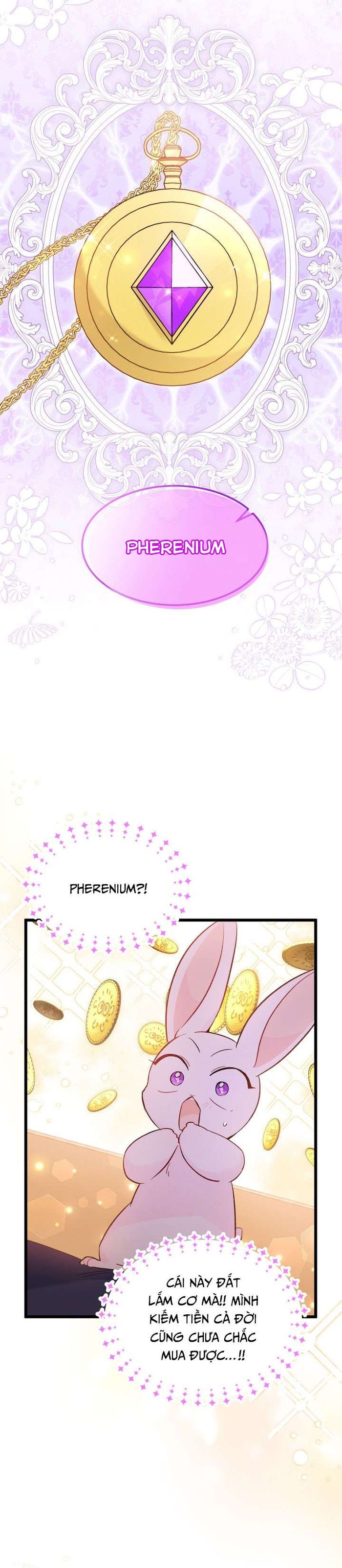 Mối Quan Hệ Cộng Sinh Giữa Báo Đen Và Thỏ Trắng - Chap 56 Ảnh 27