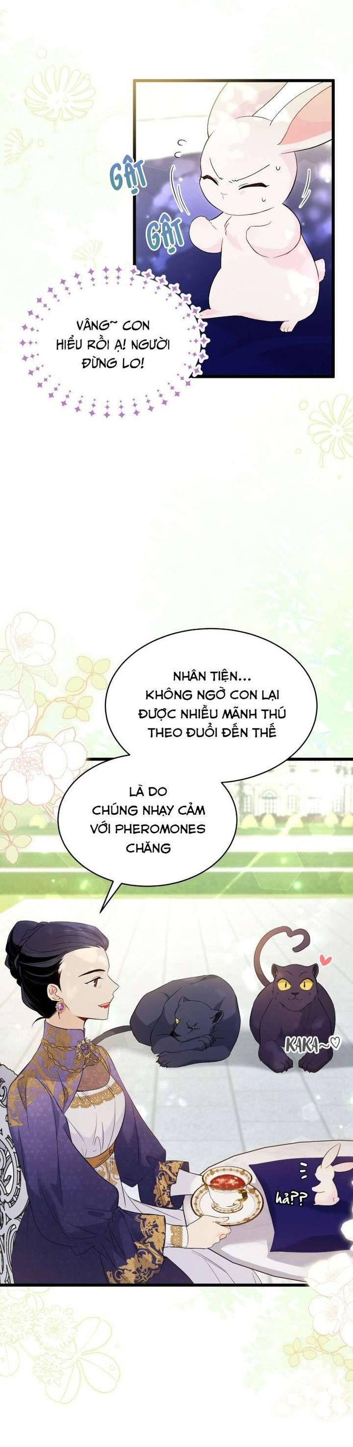 Mối Quan Hệ Cộng Sinh Giữa Báo Đen Và Thỏ Trắng - Chap 56 Ảnh 5