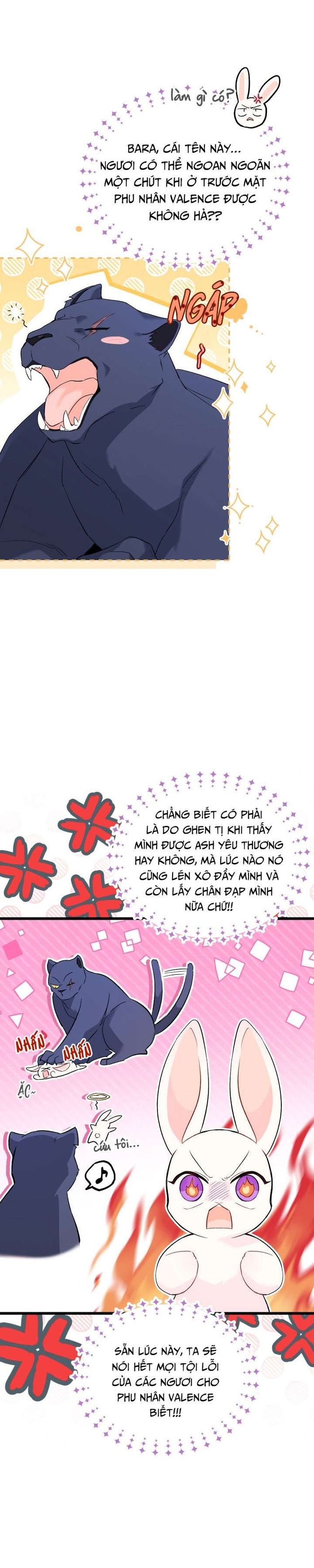 Mối Quan Hệ Cộng Sinh Giữa Báo Đen Và Thỏ Trắng - Chap 56 Ảnh 6