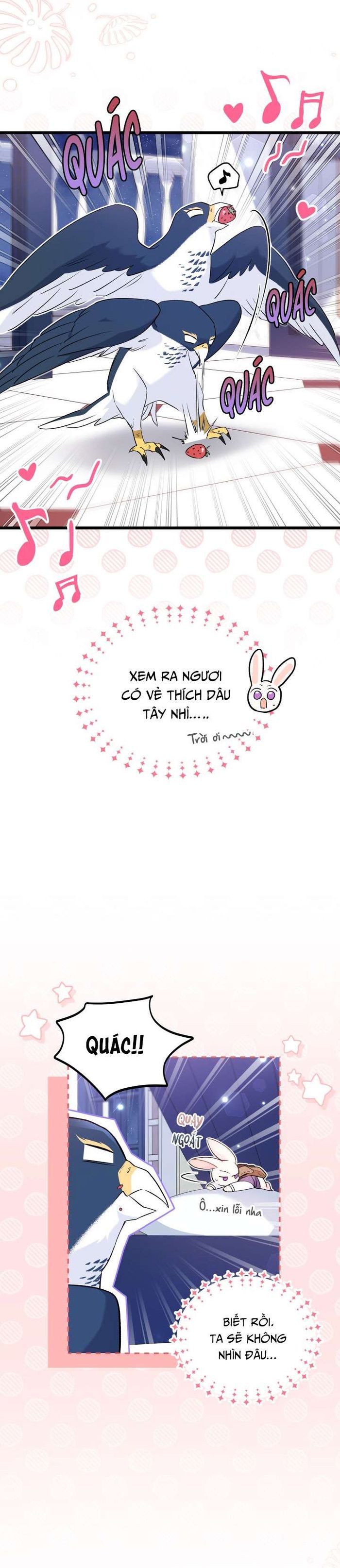 Mối Quan Hệ Cộng Sinh Giữa Báo Đen Và Thỏ Trắng - Chap 57 Ảnh 5