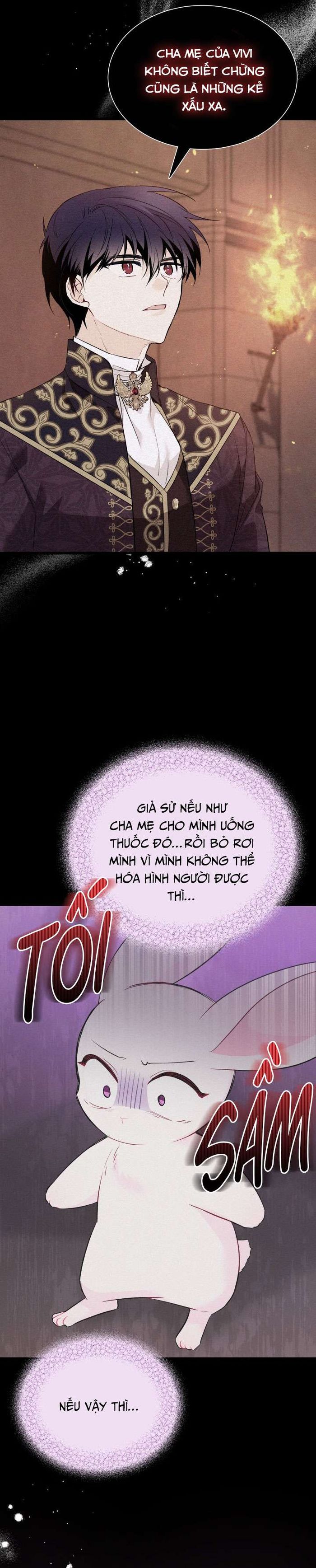 Mối Quan Hệ Cộng Sinh Giữa Báo Đen Và Thỏ Trắng - Chap 58 Ảnh 31
