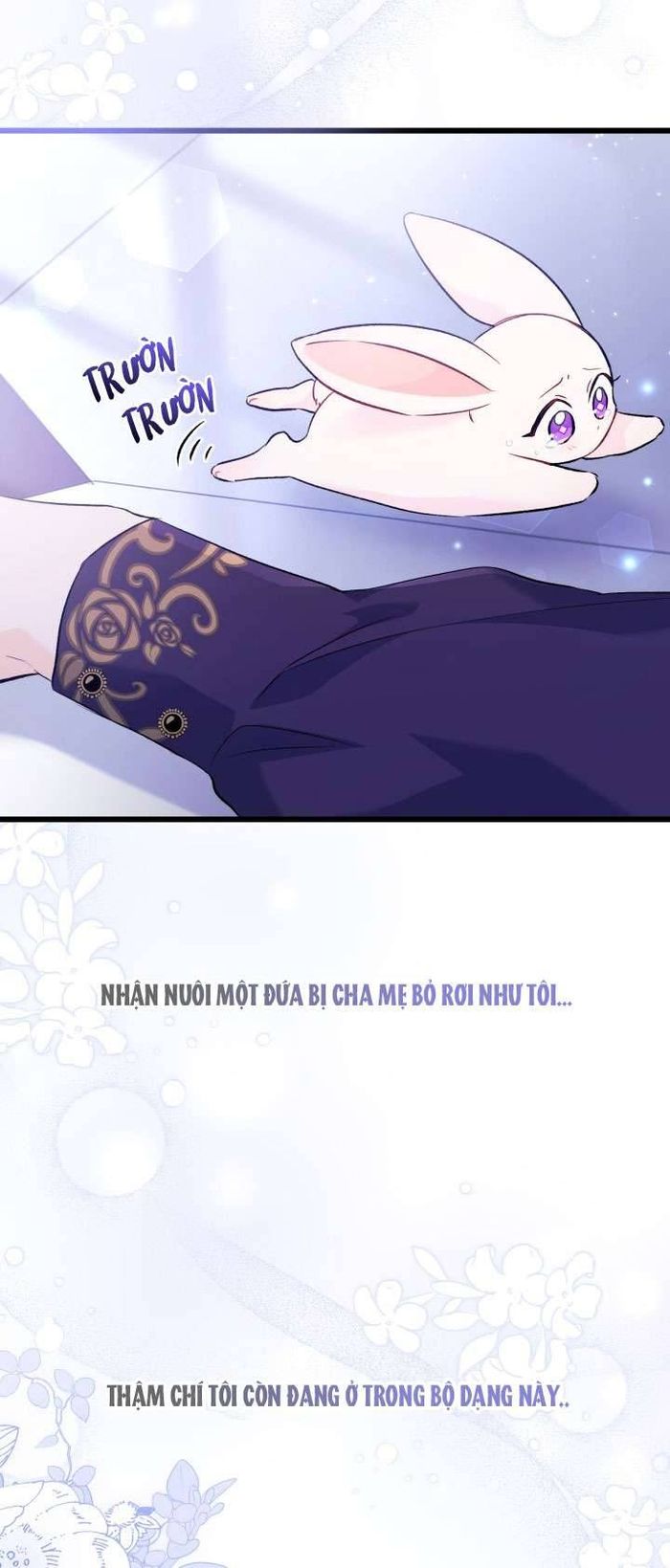 Mối Quan Hệ Cộng Sinh Giữa Báo Đen Và Thỏ Trắng - Chap 58 Ảnh 35