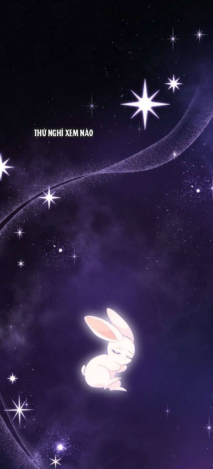 Mối Quan Hệ Cộng Sinh Giữa Báo Đen Và Thỏ Trắng - Chap 59 Ảnh 1