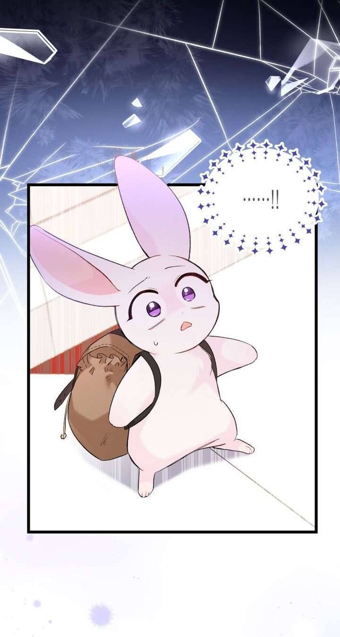 Mối Quan Hệ Cộng Sinh Giữa Báo Đen Và Thỏ Trắng - Chap 59 Ảnh 28