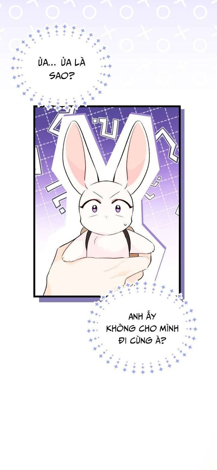 Mối Quan Hệ Cộng Sinh Giữa Báo Đen Và Thỏ Trắng - Chap 59 Ảnh 41