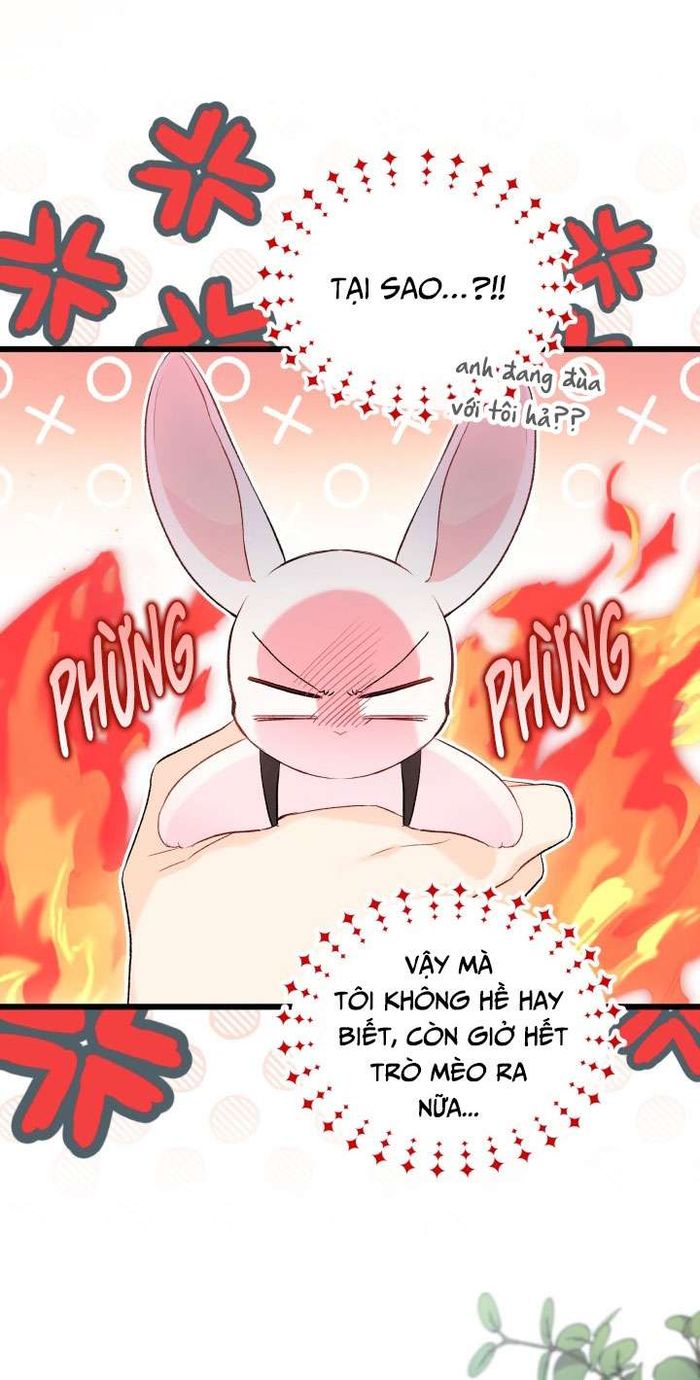 Mối Quan Hệ Cộng Sinh Giữa Báo Đen Và Thỏ Trắng - Chap 59 Ảnh 43
