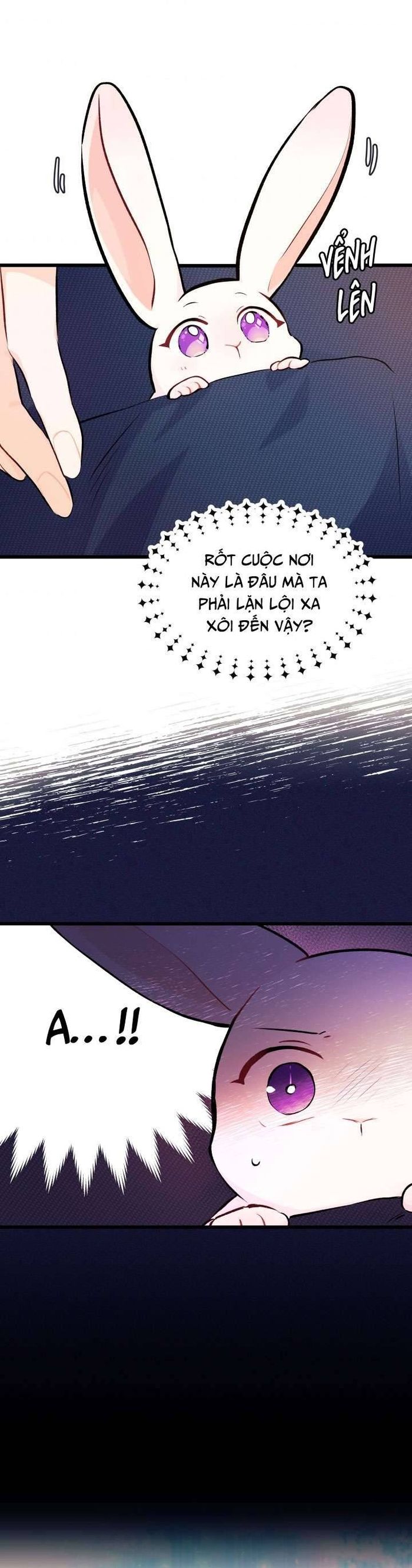Mối Quan Hệ Cộng Sinh Giữa Báo Đen Và Thỏ Trắng - Chap 6 Ảnh 31